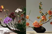 45 Japanese Ikebana Flowers Photos, a Nature Photo by Incomelion (Thumbnail 4 of 13)
