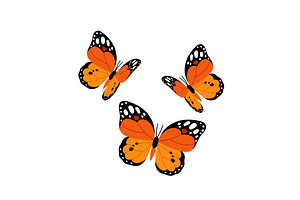 Red orange tropical butterfly, an Animal Illustration by kotoffei
