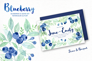 Blueberry Watercolor Clipart