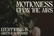 Scales - Aesthetic Ligatures Serif, a Serif Font by Say Studio (Thumbnail 9 of 13)