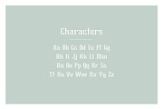Brylan Typeface, a Serif Font by ANDR35 (Thumbnail 4 of 8)
