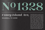 DT Augustina Serif Display, a Serif Font by Deveze Type Foundry (Thumbnail 11 of 12)