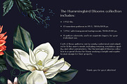 Seamless patterns Hummingbird Blooms, a Pattern Graphic by Yana Dobrik (Thumbnail 14 of 14)