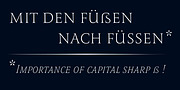Romis, a Serif Font by Finaltype (Thumbnail 16 of 22)