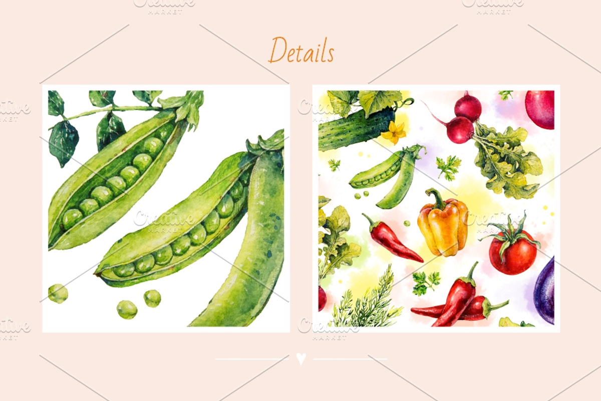Vegetables. Watercolor, a Decorative Illustration by Ekaterina Mikheeva (Photo 7 of 8)