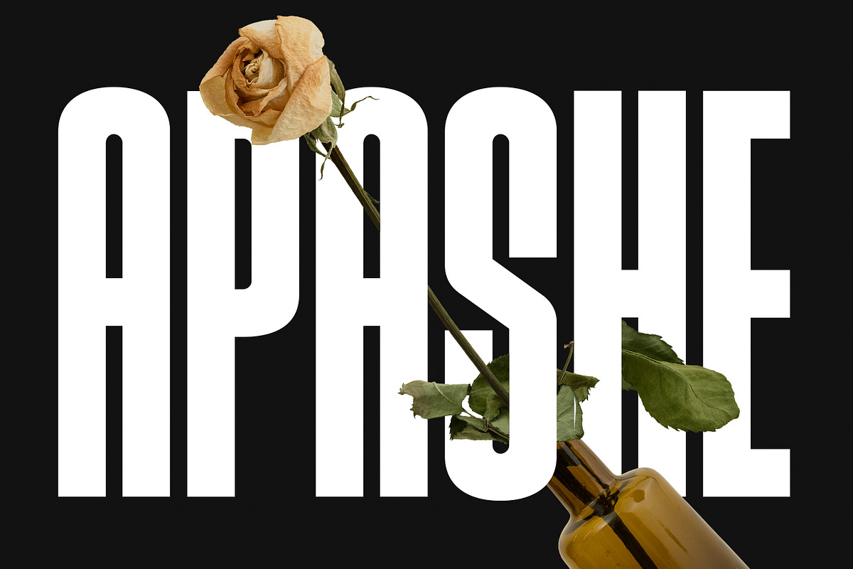 Kajiro Sans Condensed Display Font, a Sans Serif Font by Maulana Creative (Photo 2 of 10)