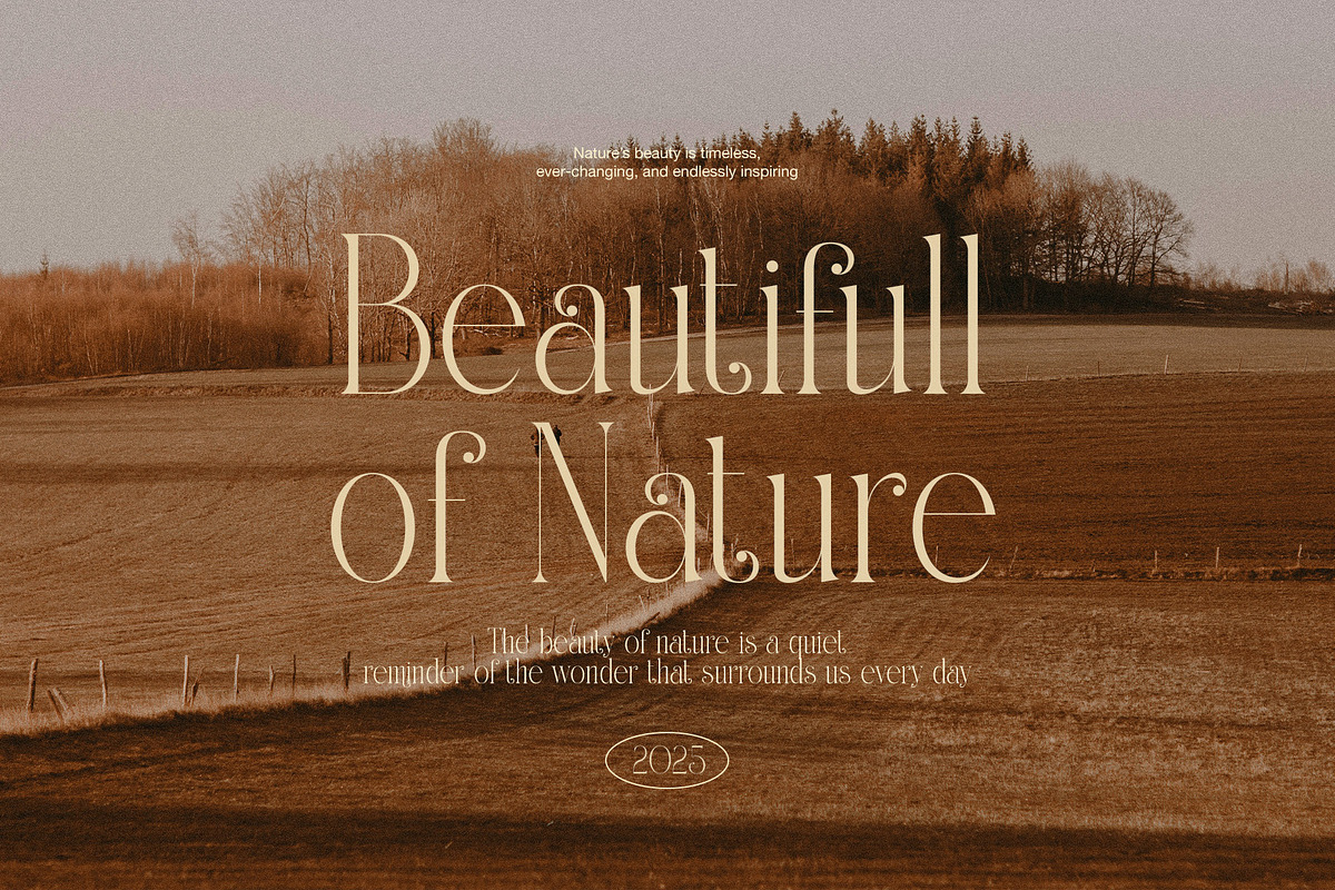 Quilten Elegant Serif Font, a Serif Font by Graphicxell (Photo 3 of 8)
