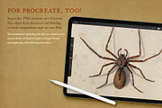 175 Vintage Halloween Ephemera, an Object Graphic by The Object Atlas (Thumbnail 6 of 13)