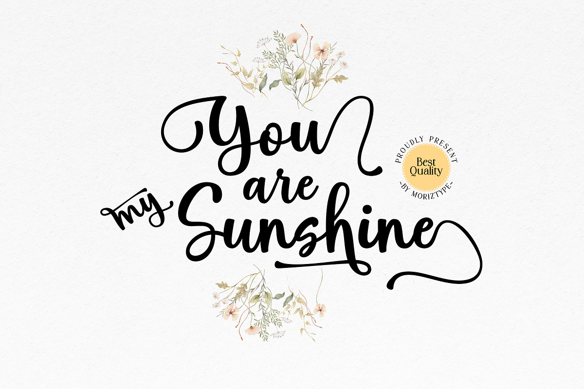 Hello Spring Script Font, a Script Font by moriztype (Photo 2 of 10)