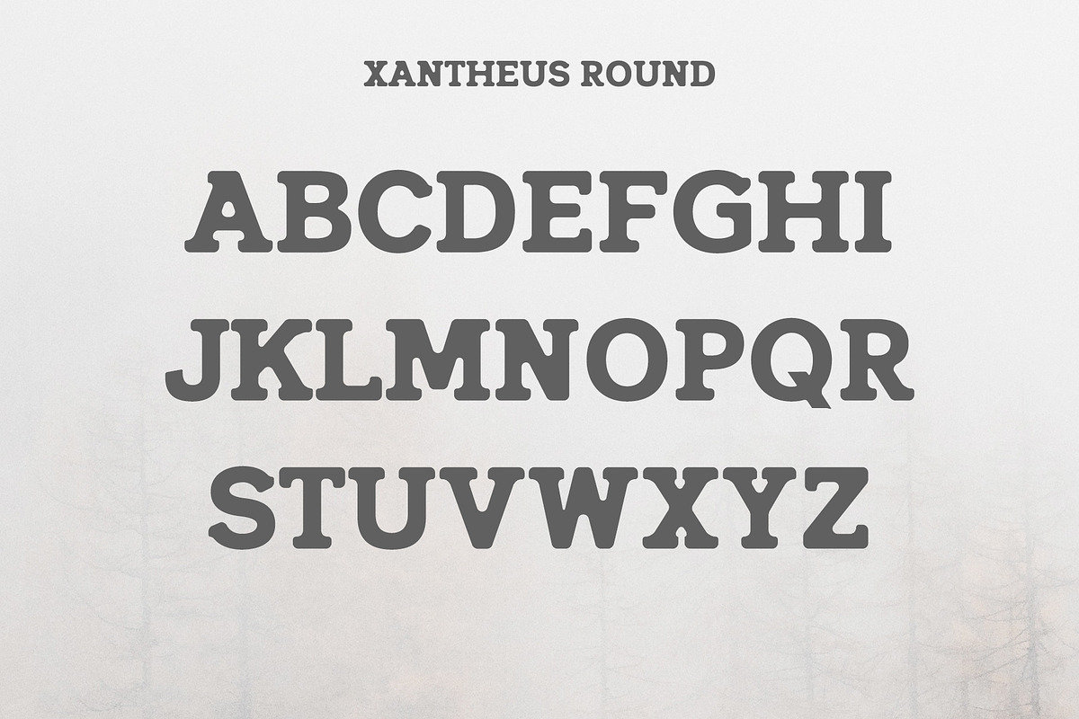 Xantheus Serif Font Family preview 3