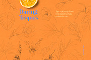 Daring Tropics. Summer Collection, an Object Illustration by Colden Blue (Thumbnail 3 of 12)