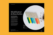 Tabloid Lookbook / Portfolio, a Brochure Template by dumitrasconiu.design (Thumbnail 5 of 5)