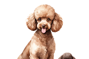 11PNG WATERCOLOR CUTE DOGS CLIPART, an Animal Illustration by Vachira Digital Studio (Thumbnail 3 of 5)