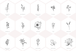 Hand Drawn Floral Logo Elements