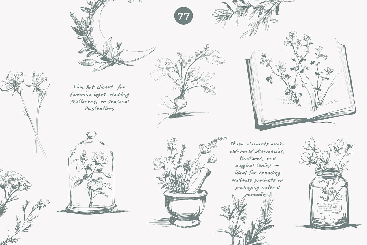 apothecary clipart vintage collectio, a Decorative Illustration by Patishop Art (Photo 5 of 10)