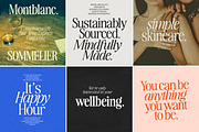 The Awesome Serif Family (32 Fonts), a Serif Font by Nicky Laatz (Thumbnail 19 of 42)