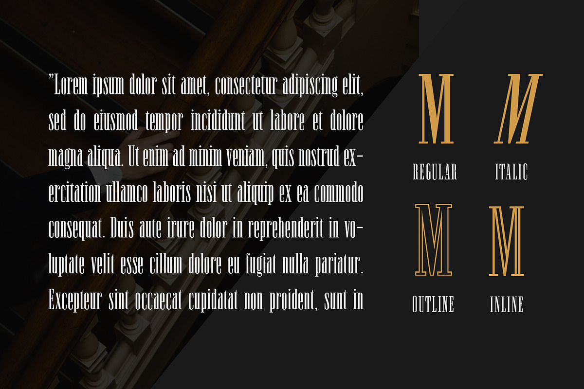 Newston - Stylish Serif Font preview 4