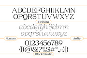 BS Helivita, a Font by Black Studio (Thumbnail 15 of 15)