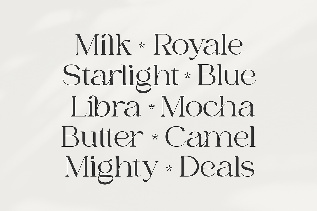 Bilgie - Chique Serif Font, a Serif Font by zeenesia (Photo 9 of 19)