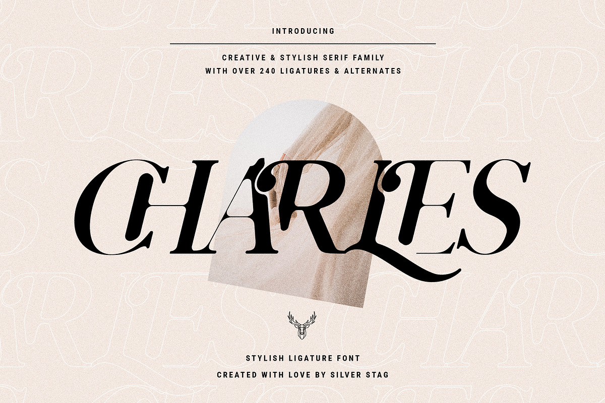 Charles - Ligature Serif Font Family, a Serif Font by SilverStag Type Foundry (Photo 1 of 32)