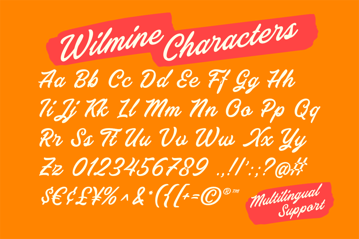 Wilmine Vintage Brush Script, a Script Font by Letterhend Studio (Photo 5 of 9)