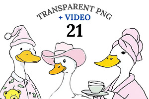 21 Silly Goose Clipart PNG, an Animal Illustration by Pati Charm Studio