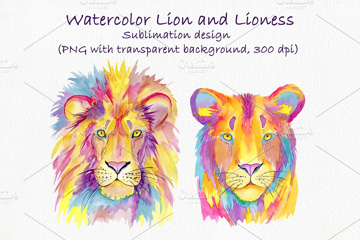 Watercolor Lion and Lioness, an Animal Illustration by ArtIrisArt (Photo 3 of 8)