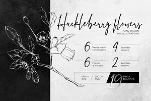 Inky huckleberry flowers
