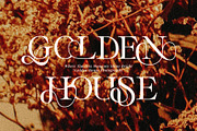 Divine Opulent - Display Serif, a Serif Font by Prioritype Co (Thumbnail 4 of 10)