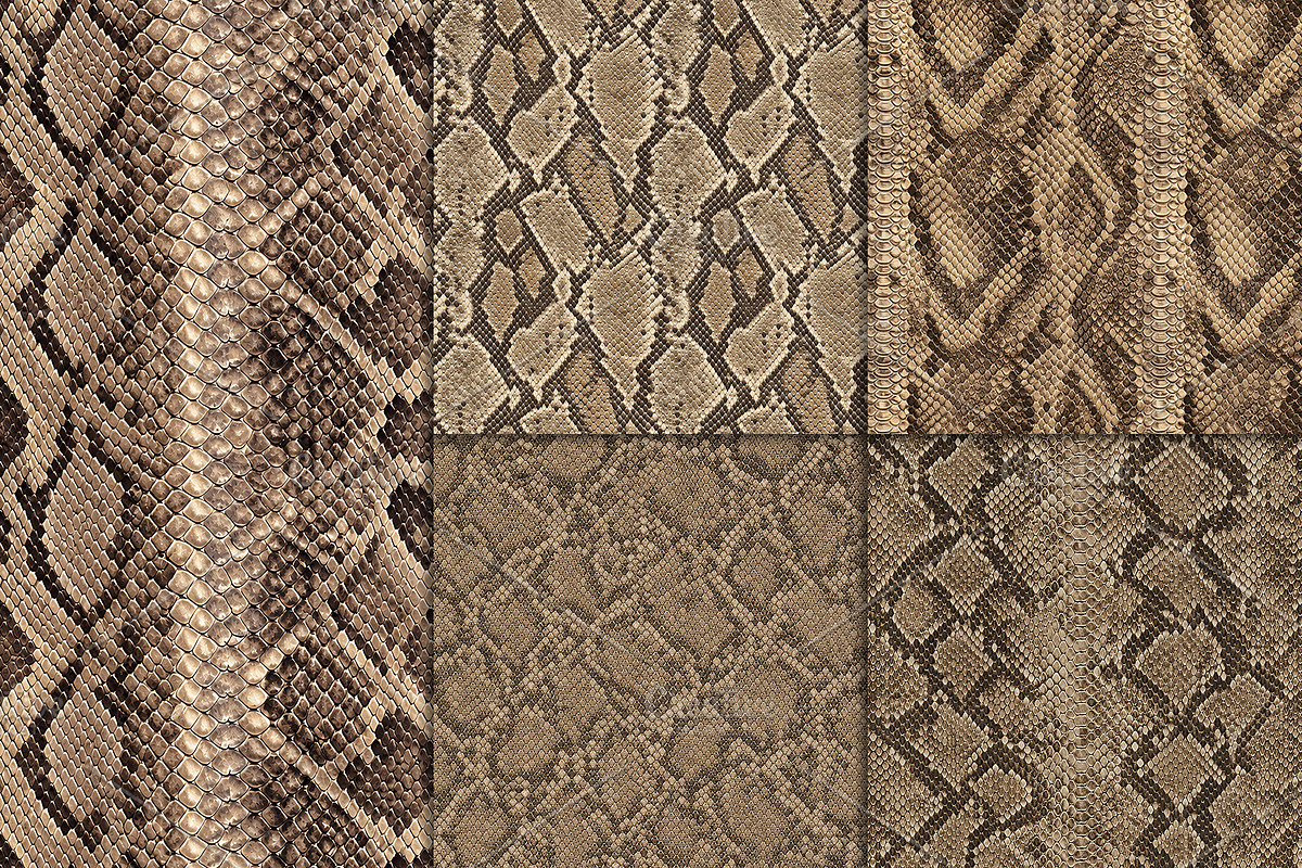 Realistic Snake Skin Patterns, a Pattern Graphic by Artonix (Photo 3 of 4)