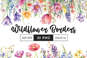 Wild Flower Borders