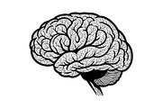 Brain Tree Knowledge Design Bundle, an Illustration by Gaye Art (Thumbnail 23 of 31)