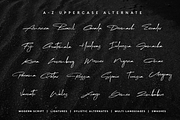 Omaha Beach | Script, a Script Font by Scratch Design (Thumbnail 13 of 16)