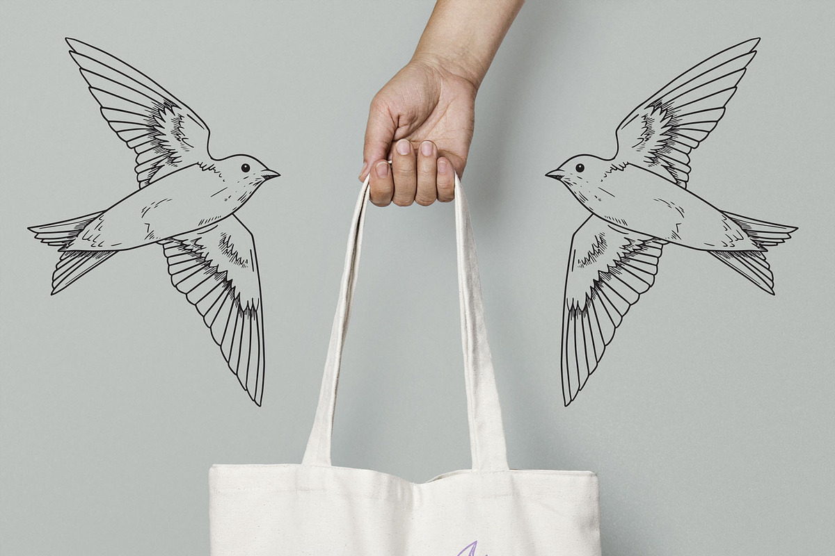 Vector Bird Line Art Illustrations, an Illustration by MyNatureGraphics (Photo 4 of 4)