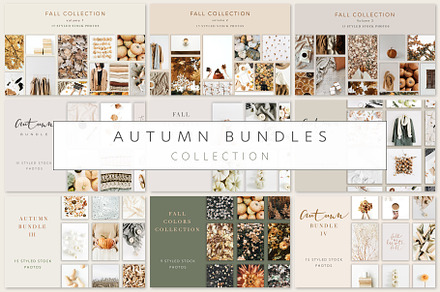 Autumn Bundles Collection, a Photo by Floral Deco