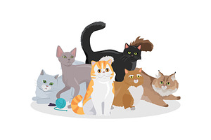 Cats Breeds Flat Vector Web Banner