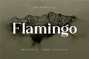 Flamingo, a Serif Font by Kleffont Studio (Thumbnail 1 of 11)
