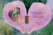 Petals Garden Collage Kit, an Object Graphic by Purple (Thumbnail 5 of 15)