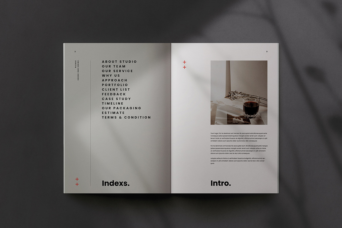 Proposal Template, a Brochure Template by Occy Design (Photo 2 of 9)