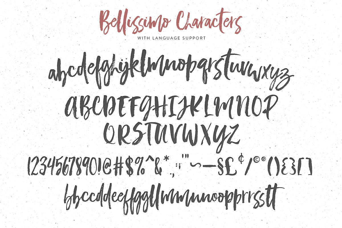 Bellissimo Typeface + Minimal Logos, a Script Font by Callie Rian & Co. (Photo 10 of 11)
