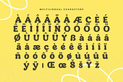 Hadlen - Playful Retro Serif, a Serif Font by Variatype (Thumbnail 13 of 19)