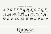 Quenor – Modern Editorial Serif Font, a Serif Font by shineink.designlab (Thumbnail 10 of 10)
