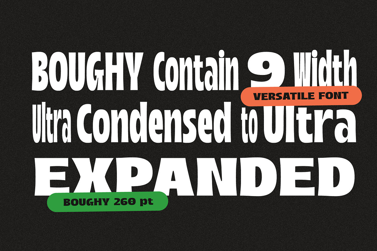Boughy - Font Family |9 Fonts, a Serif Font by Craft Supply Co. (Photo 2 of 13)