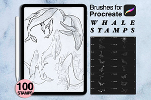 100 procreate whale stamps