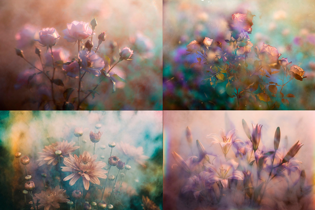 Flowers in a mysterious haze, a Decorative Illustration by O m N i  Studio (Photo 13 of 18)