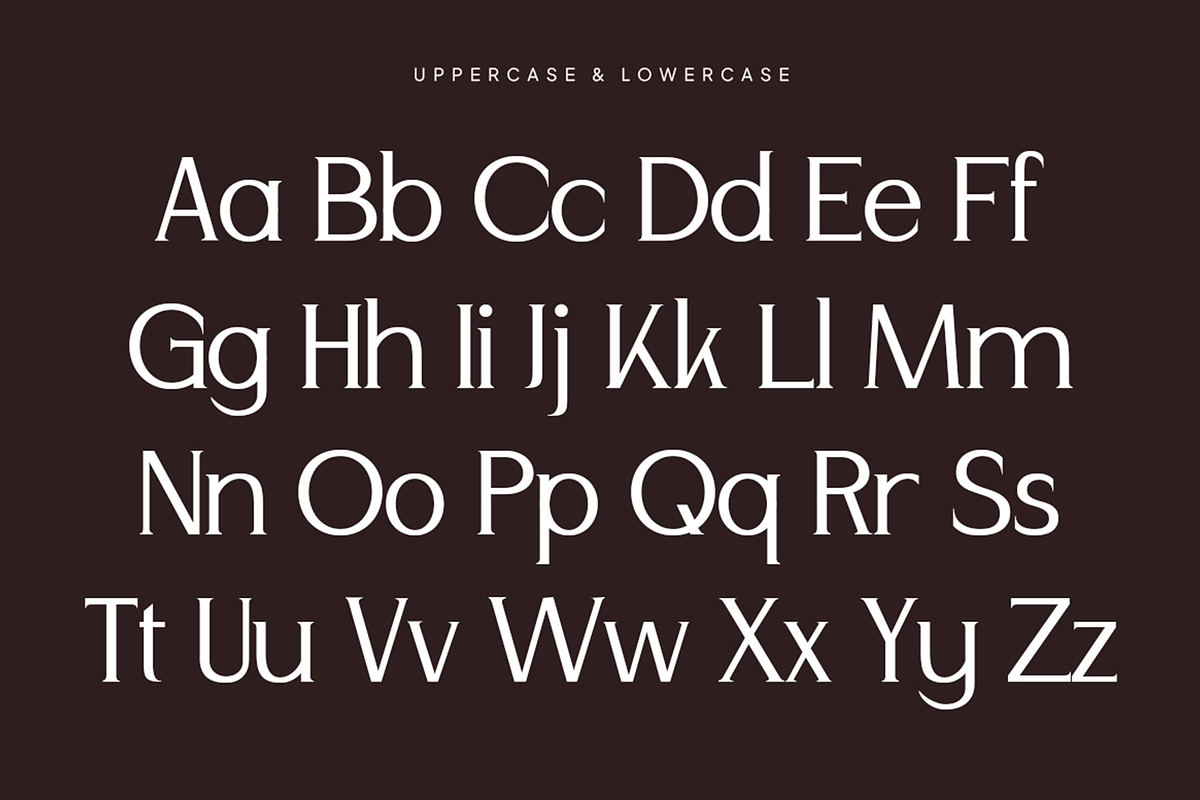 Andore - Elegant Modern Serif Font, a Serif Font by Pekotype (Photo 3 of 15)