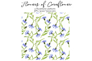 Flowers of Cornflower, a Decorative Illustration by cat_arch_angel (Thumbnail 6 of 7)
