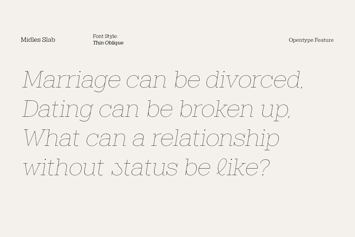 Midles Slab, a Slab Serif Font by Attract Studio (Photo 7 of 15)