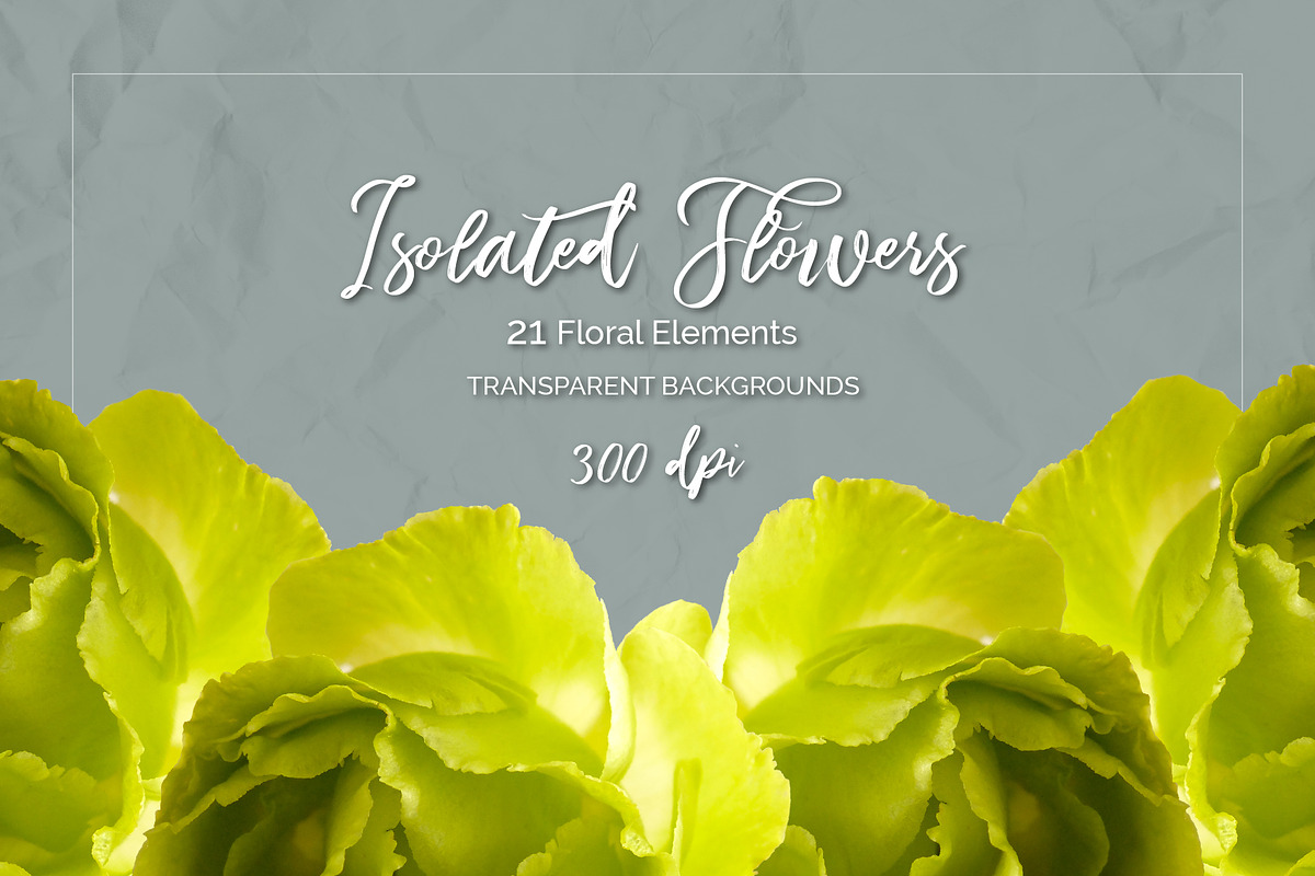 Lisianthus Blooms Realistic Flowers, an Object Graphic by Turning Moss (Photo 6 of 8)