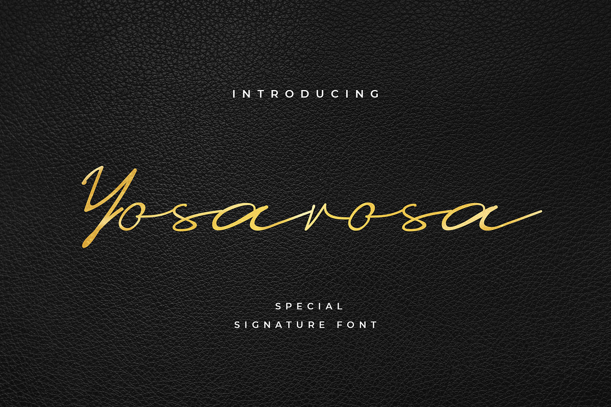 Yosarosa Signature Font, a Script Font by UICreative (Photo 1 of 5)